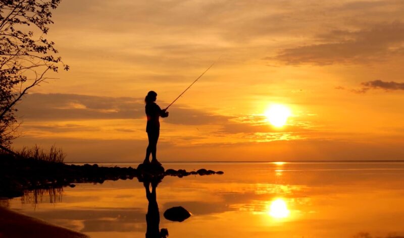 Dreaming of fishing