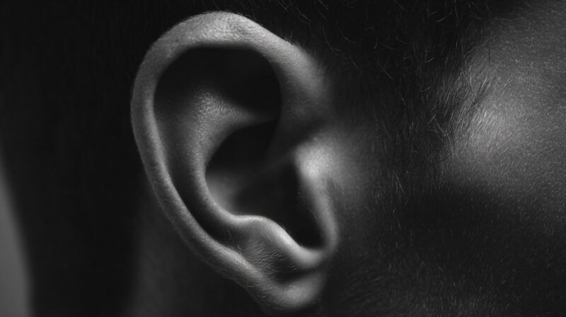 Close-up black and white image of a human ear